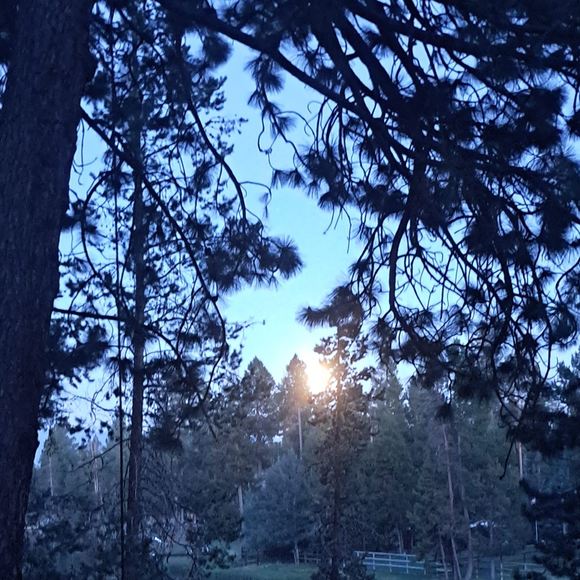 Meet your Posher, Josh - Picture 1 of 1